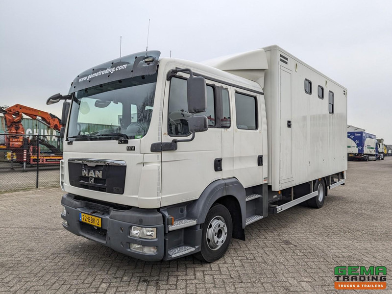 MAN TGL 12.180 4x2 DoKa 7 pers. Euro5 EEV - Paardenwagen 2-Paards - 147.000km! - MARGE - Коневоз: фото 3 MAN TGL 12.180 4x2 DoKa 7 pers. Euro5 EEV - Paardenwagen 2-Paards - 147.000km! - MARGE - Коневоз: фото 3