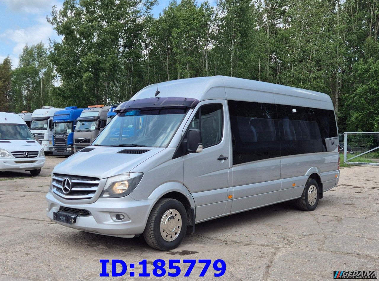 MERCEDES-BENZ Sprinter 316 - VIP - Avestark - Туристический автобус: фото 1 MERCEDES-BENZ Sprinter 316 - VIP - Avestark - Туристический автобус: фото 1