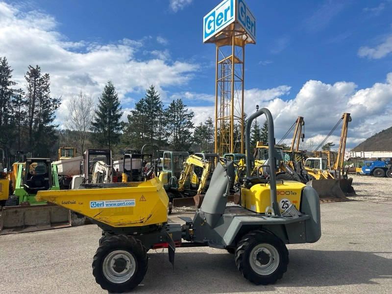 Neuson 3001 (3861) - Мини-самосвал: фото 1 Neuson 3001 (3861) - Мини-самосвал: фото 1