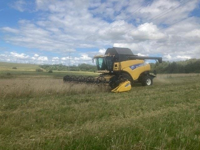 New Holland CR 980 1050er hjul og 30Fod 4 hjulstræk - Зерноуборочный комбайн: фото 1 New Holland CR 980 1050er hjul og 30Fod 4 hjulstræk - Зерноуборочный комбайн: фото 1