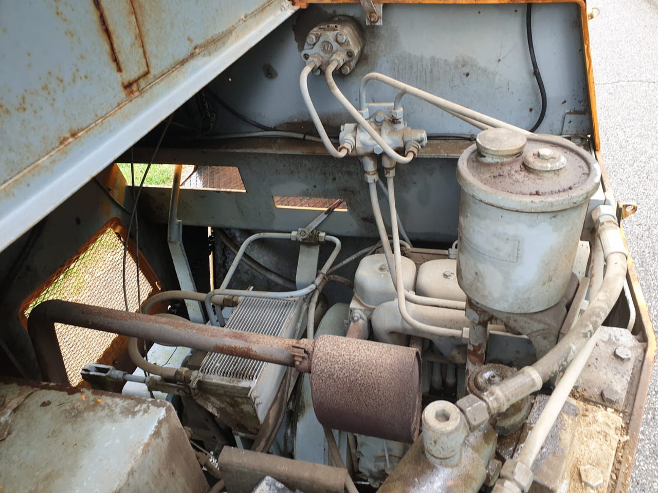 Каток : фото 11