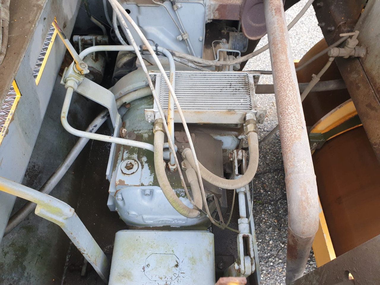 Каток : фото 12