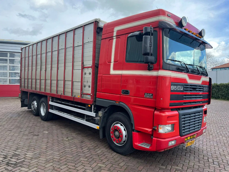 DAF XF FAR 95XF.380 EURO 2 - Грузовик для перевозки животных: фото 3 DAF XF FAR 95XF.380 EURO 2 - Грузовик для перевозки животных: фото 3