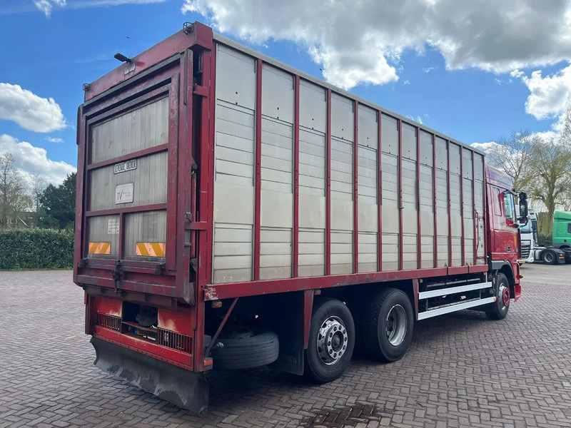 DAF XF FAR 95XF.380 EURO 2 - Грузовик для перевозки животных: фото 4 DAF XF FAR 95XF.380 EURO 2 - Грузовик для перевозки животных: фото 4