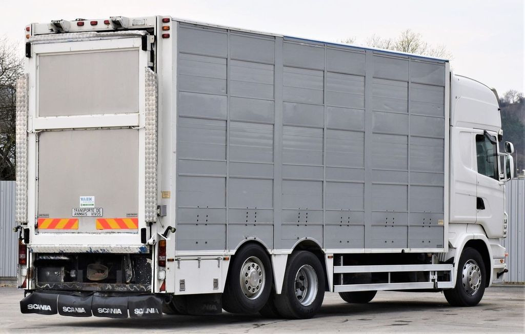 Scania R 500 TIERTRANSPORTWAGEN 7,10m / 4STOCK - Грузовик для перевозки животных: фото 5 Scania R 500 TIERTRANSPORTWAGEN 7,10m / 4STOCK - Грузовик для перевозки животных: фото 5