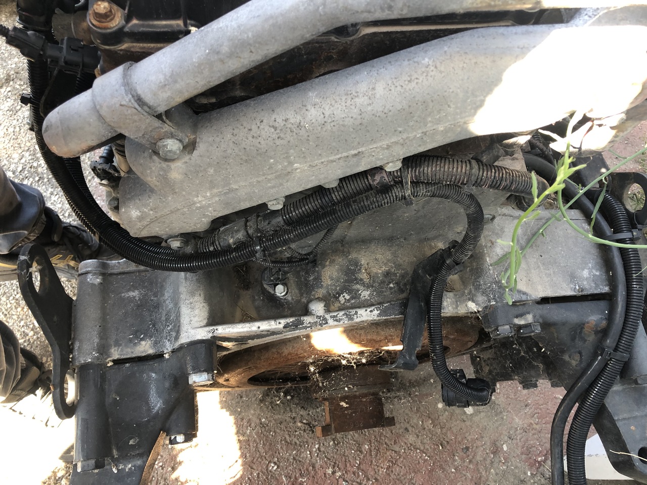 MAN TGA D2066 LF02 430HP EURO 3 COMMON RAIL - Двигатель для Грузовиков: фото 5 MAN TGA D2066 LF02 430HP EURO 3 COMMON RAIL - Двигатель для Грузовиков: фото 5