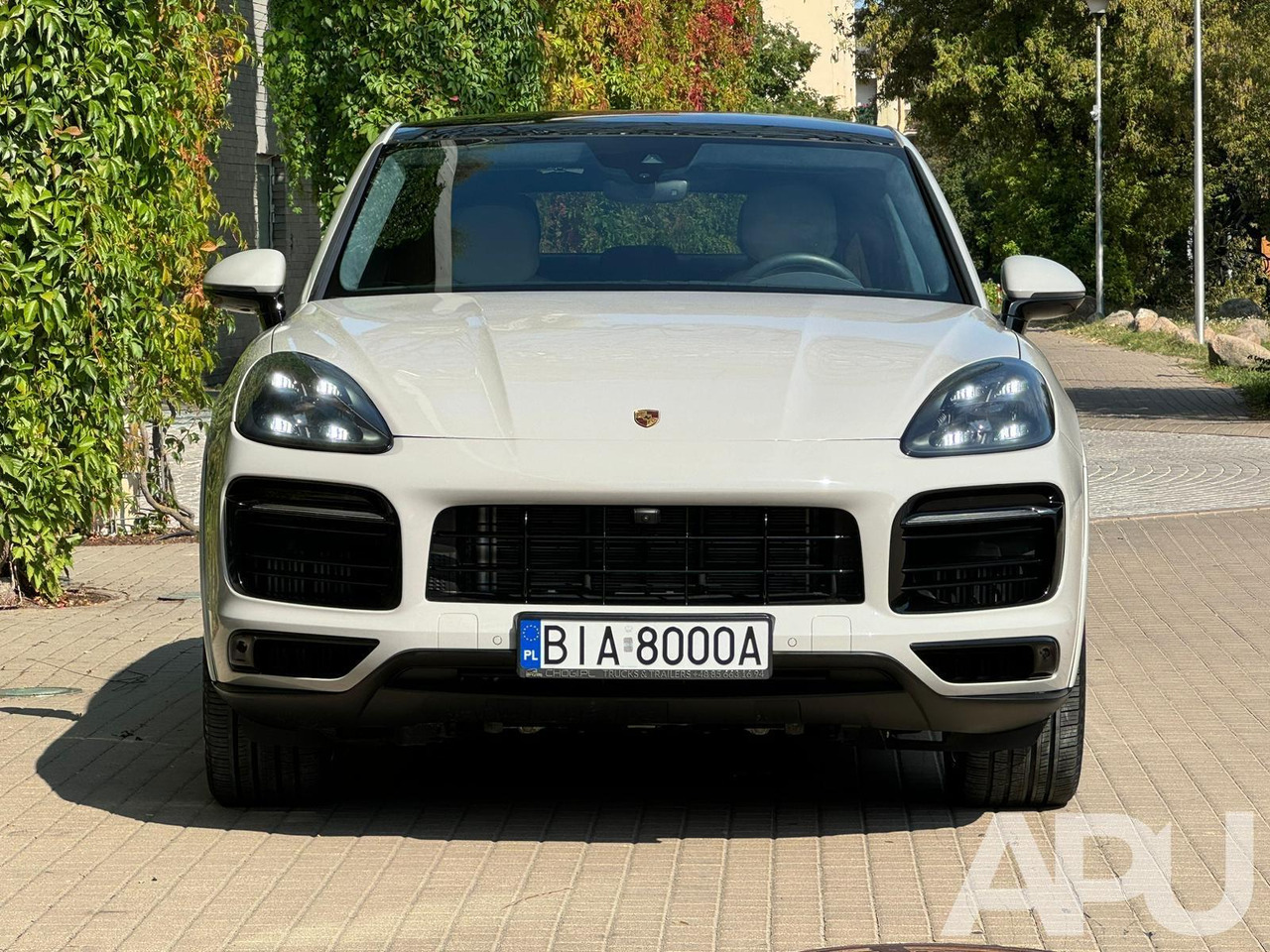 Porsche Cayenne Turbo - Легковой автомобиль: фото 5 Porsche Cayenne Turbo - Легковой автомобиль: фото 5