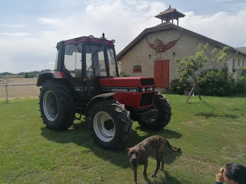 Case IH 856 XL - Трактор: фото 4 Case IH 856 XL - Трактор: фото 4