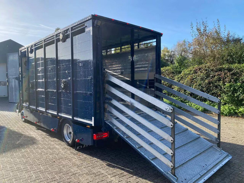 DAF LF 280 - Грузовик для перевозки животных: фото 5 DAF LF 280 - Грузовик для перевозки животных: фото 5