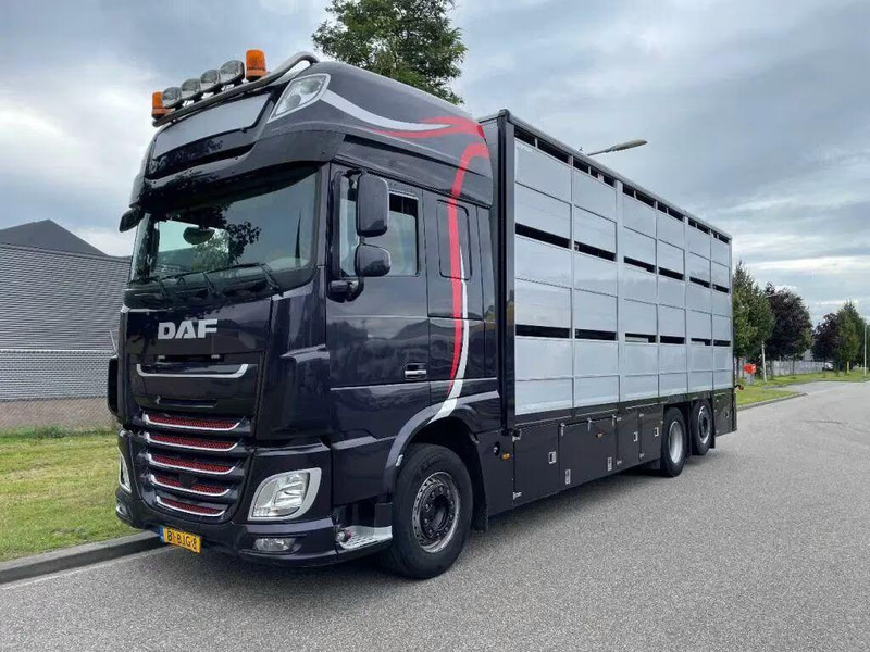 DAF XF 460 - Animal transporter - Грузовик для перевозки животных: фото 1 DAF XF 460 - Animal transporter - Грузовик для перевозки животных: фото 1