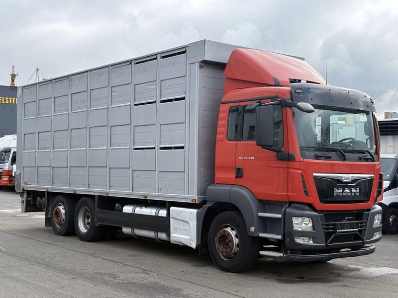 MAN TGS 26.440 - Animal transporter - Грузовик для перевозки животных: фото 2 MAN TGS 26.440 - Animal transporter - Грузовик для перевозки животных: фото 2