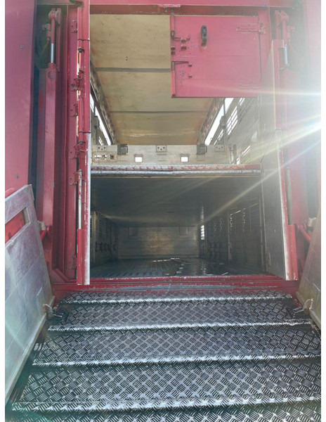 Грузовик для перевозки животных MAN TGX 26.400 6x2-2 LL 3 Stück Finkl Hubdach: фото 10