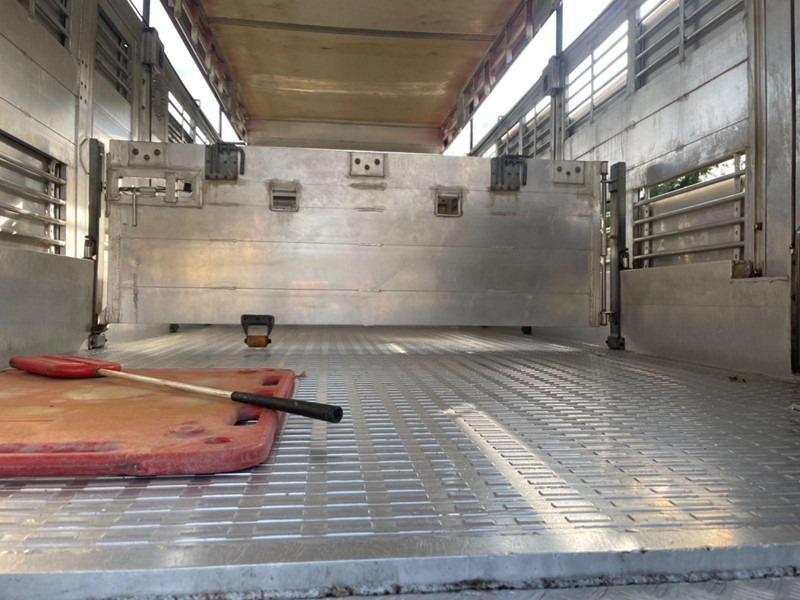 Грузовик для перевозки животных MAN TGX 26.400 6x2-2 LL 3 Stück Finkl Hubdach: фото 13