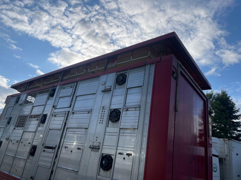 Грузовик для перевозки животных MAN TGX 26.400 6x2-2 LL 3 Stück Finkl Hubdach: фото 9