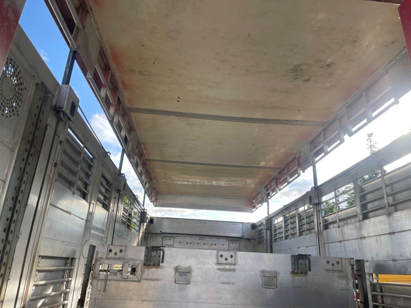 Грузовик для перевозки животных MAN TGX 26.400 6x2-2 LL 3 Stück Finkl Hubdach: фото 14