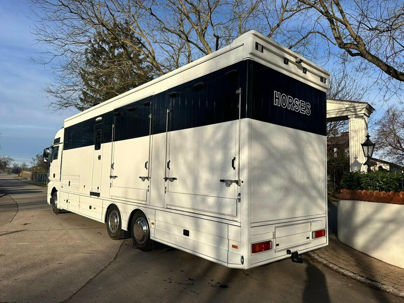 MAN TGX 26.440 - Horse transporter - Коневоз: фото 4 MAN TGX 26.440 - Horse transporter - Коневоз: фото 4