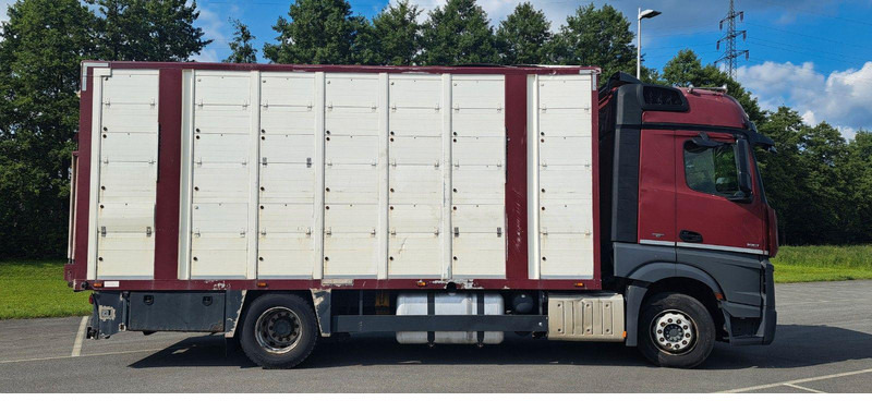 Mercedes-Benz Actros 1851 - Грузовик для перевозки животных: фото 2 Mercedes-Benz Actros 1851 - Грузовик для перевозки животных: фото 2