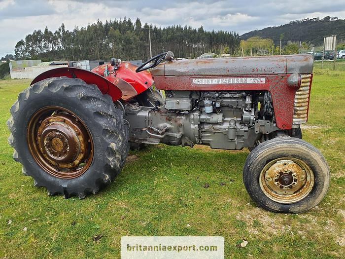 Massey Ferguson 65 | 4 cylinder diesel | disc brakes - Трактор: фото 1 Massey Ferguson 65 | 4 cylinder diesel | disc brakes - Трактор: фото 1