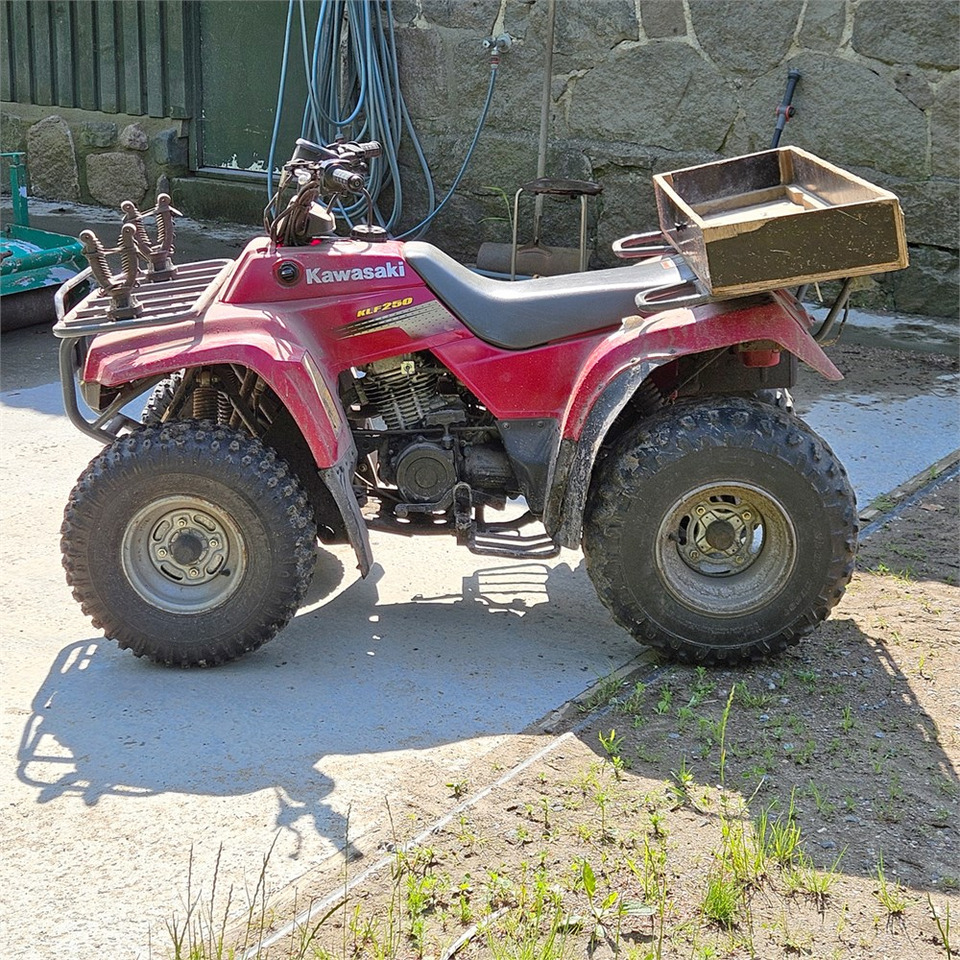 Kawasaki KLF 250 - Квадроцикл: фото 2 Kawasaki KLF 250 - Квадроцикл: фото 2