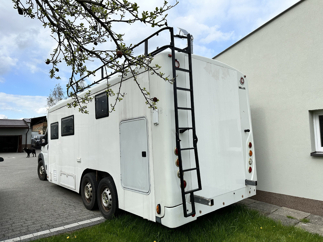 FIAT DUCATO - Полуинтегрированный автодом: фото 4 FIAT DUCATO - Полуинтегрированный автодом: фото 4
