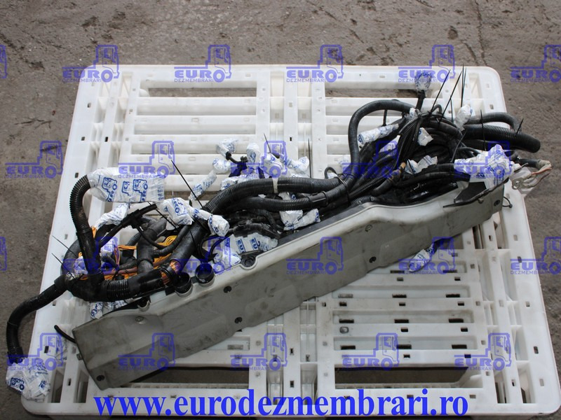 INSTALATIE ELECTRICA MOTOR MAN D2676 LF51 81.25459.6956 - Кабели/ Провода для Грузовиков: фото 1 INSTALATIE ELECTRICA MOTOR MAN D2676 LF51 81.25459.6956 - Кабели/ Провода для Грузовиков: фото 1