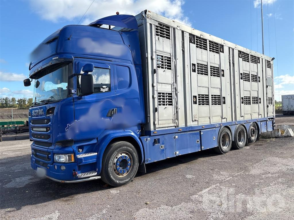 SCANIA R580 - Грузовик для перевозки животных: фото 1 SCANIA R580 - Грузовик для перевозки животных: фото 1