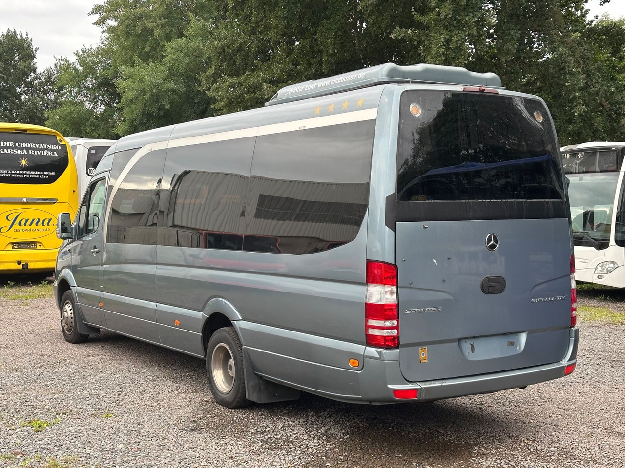 Mercedes-Benz Sprinter 516 CDi (DE*Klima*Reise) в лизинг Mercedes-Benz Sprinter 516 CDi (DE*Klima*Reise): фото 8